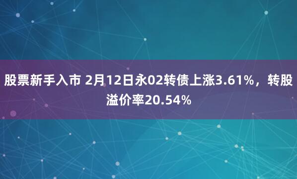 股票新手入市 2月12日永02转债上涨3.61%，转股溢价率20.54%