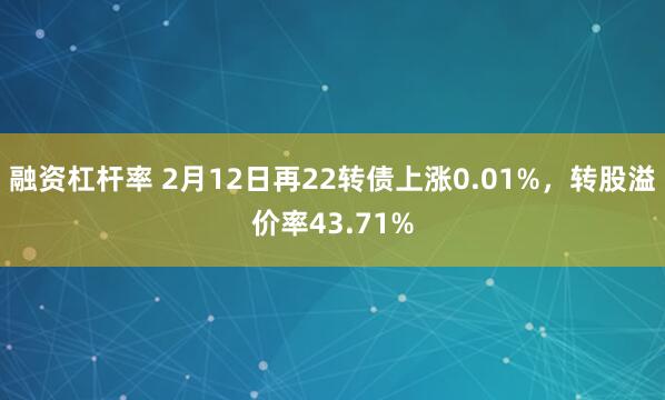 融资杠杆率 2月12日再22转债上涨0.01%，转股溢价率43.71%