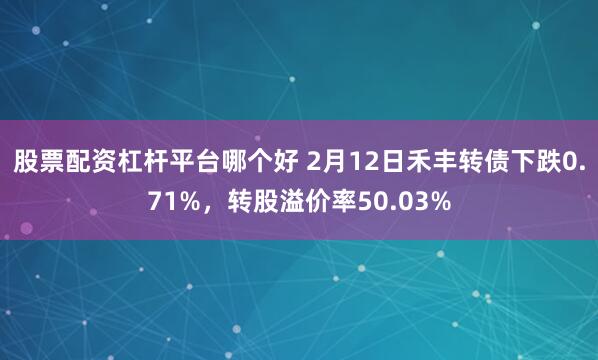 股票配资杠杆平台哪个好 2月12日禾丰转债下跌0.71%，转股溢价率50.03%