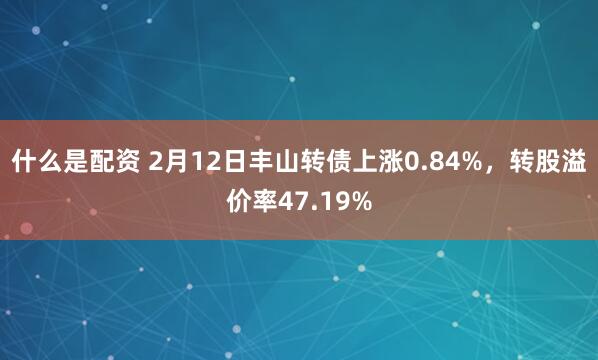 什么是配资 2月12日丰山转债上涨0.84%，转股溢价率47.19%