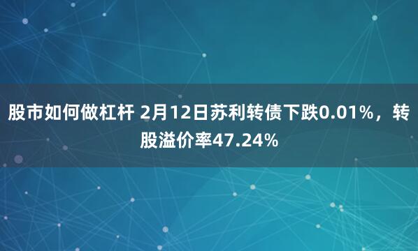 股市如何做杠杆 2月12日苏利转债下跌0.01%，转股溢价率47.24%