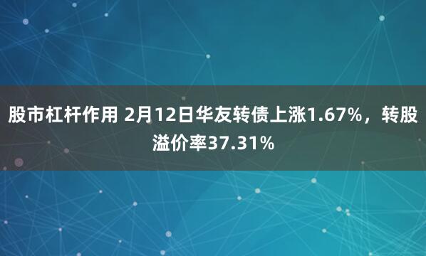 股市杠杆作用 2月12日华友转债上涨1.67%，转股溢价率37.31%