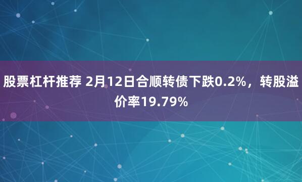 股票杠杆推荐 2月12日合顺转债下跌0.2%，转股溢价率19.79%