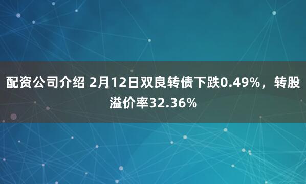 配资公司介绍 2月12日双良转债下跌0.49%，转股溢价率32.36%