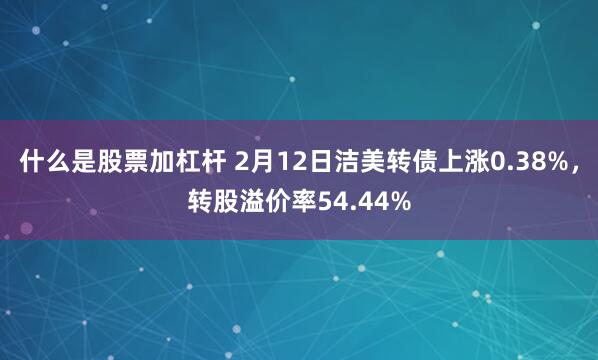 什么是股票加杠杆 2月12日洁美转债上涨0.38%，转股溢价率54.44%