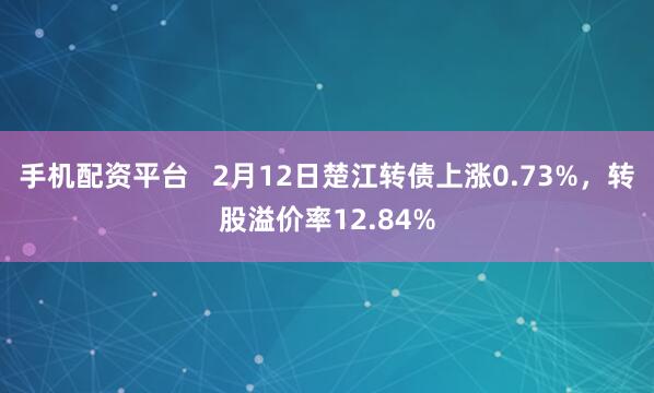 手机配资平台   2月12日楚江转债上涨0.73%，转股溢价率12.84%