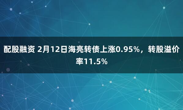 配股融资 2月12日海亮转债上涨0.95%，转股溢价率11.5%