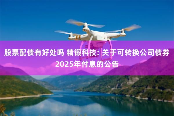 股票配债有好处吗 精锻科技: 关于可转换公司债券2025年付息的公告