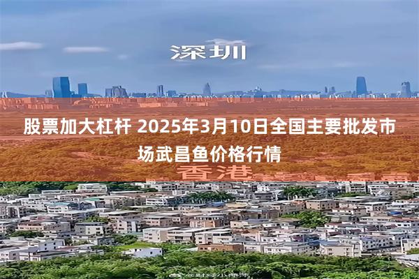 股票加大杠杆 2025年3月10日全国主要批发市场武昌鱼价格行情